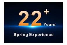 Experiencia de primavera de 22 años.